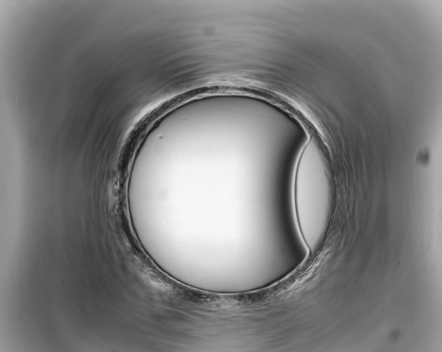 X0000099940971200805231017
