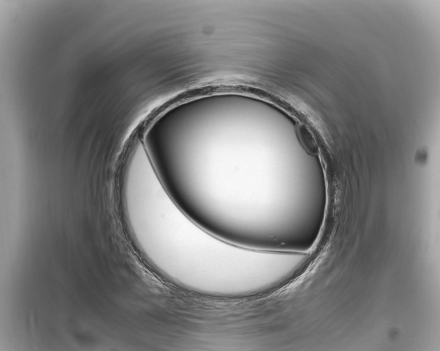 X0000099940973200805231017