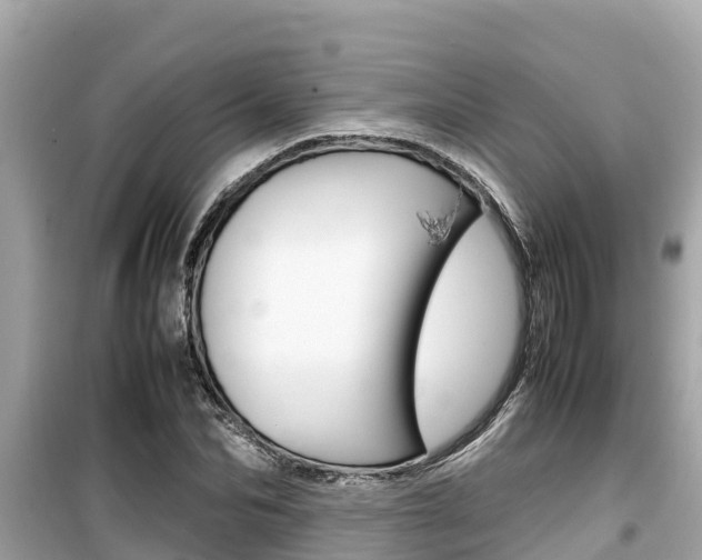 X0000099940974200805231017
