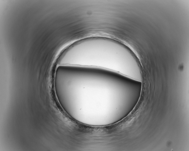 X0000099940979200805231017