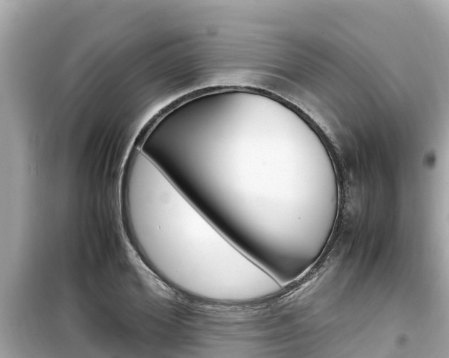 X0000099940980200805231017