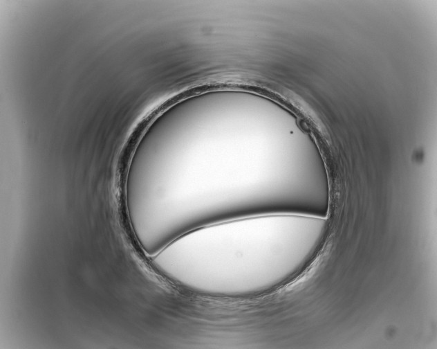 X0000099940981200805231017