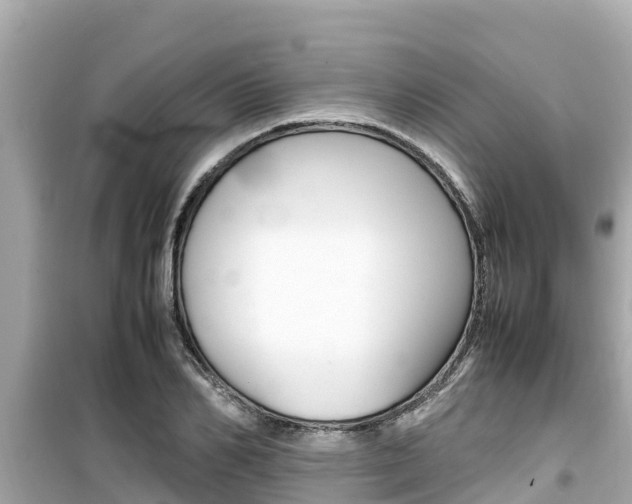 X0000099940982200805231017