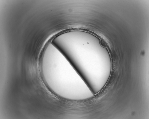 X0000099940983200805231017