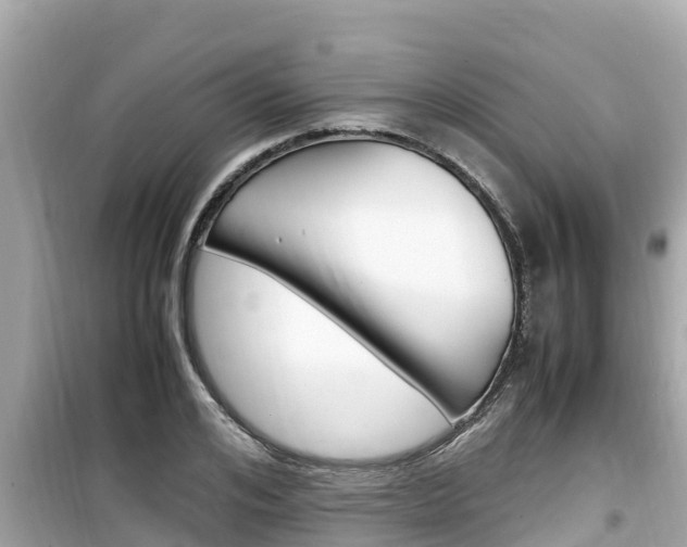 X0000099940984200805231017