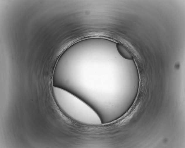 X0000099940985200805231017