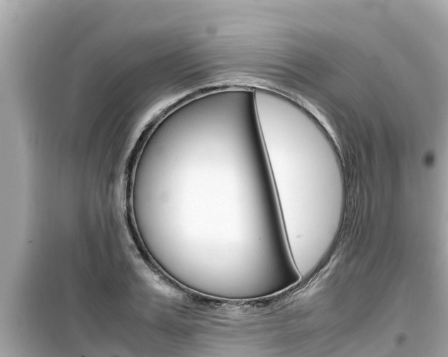 X0000099940987200805231017