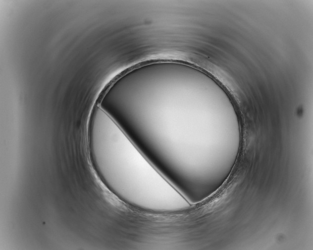 X0000099940988200805231017