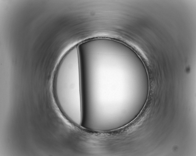 X0000099940991200805231017