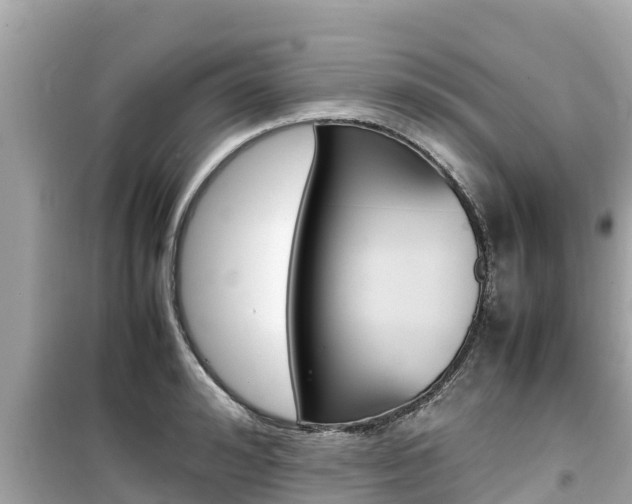 X0000099940992200805231017