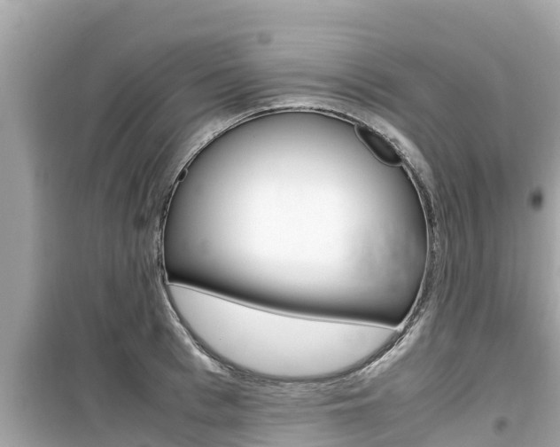 X0000099940993200805231017