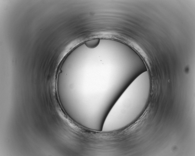 X0000099940994200805231017
