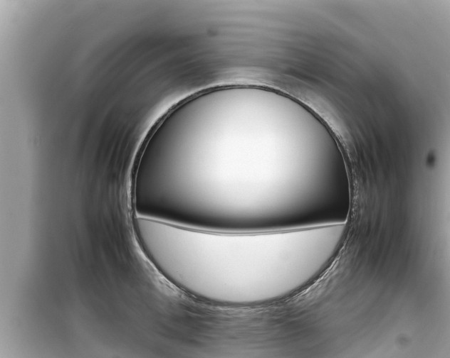 X0000099940996200805231017