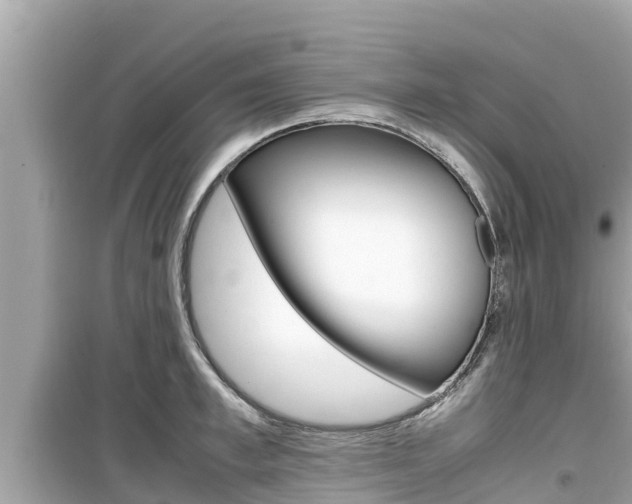 X0000099940997200805231017