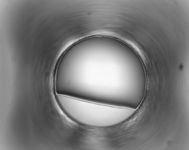 X0000099940999200805231017