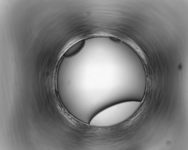 X0000099941002200805231017