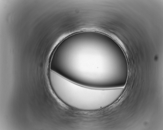 X0000099941005200805231017