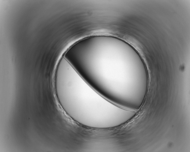 X0000099941008200805231017