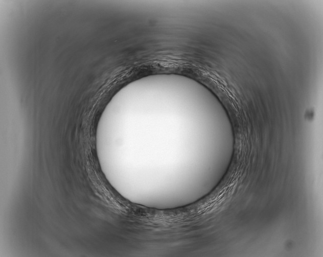 X0000099941009200805231016
