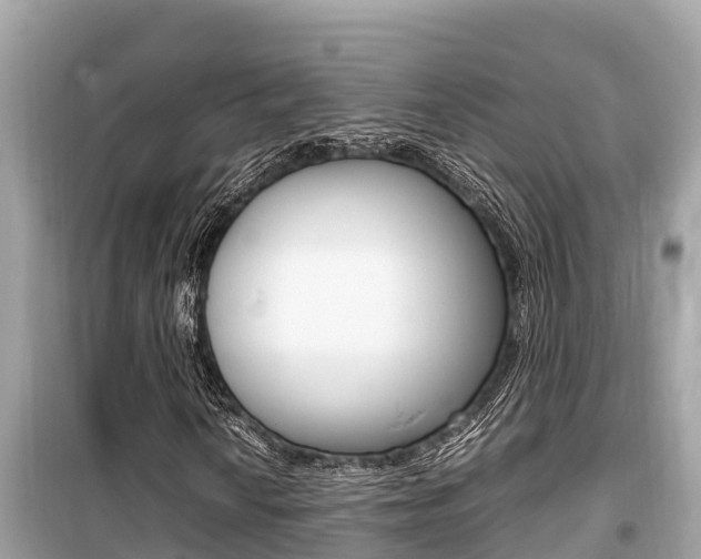 X0000099941010200805231016