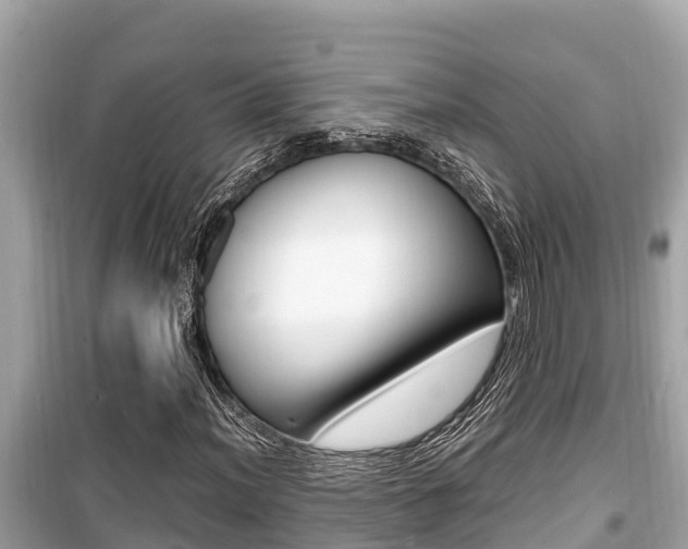 X0000099941012200805231016