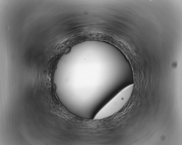 X0000099941013200805231016