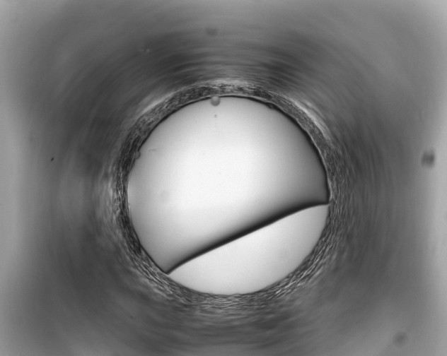 X0000099941015200805231016