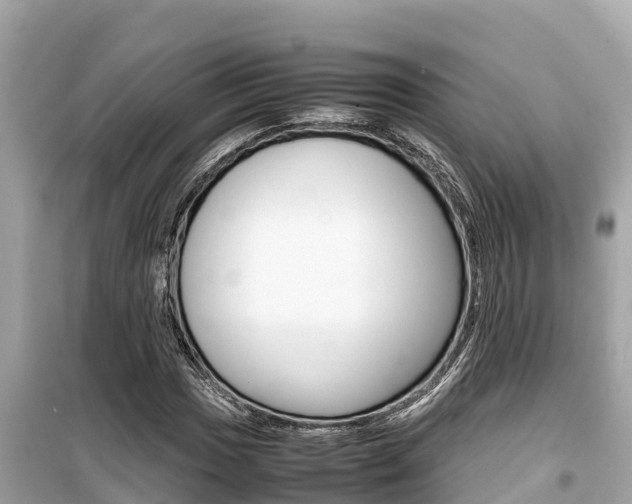 X0000099941017200805231016