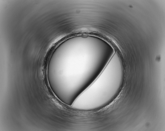 X0000099941018200805231016