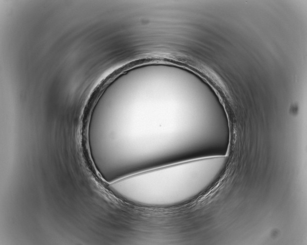 X0000099941020200805231016