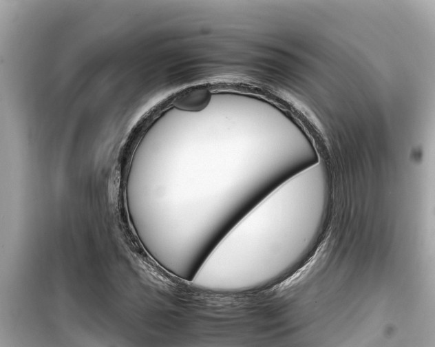 X0000099941021200805231016