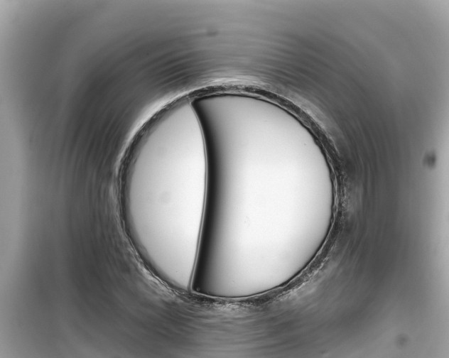 X0000099941022200805231016
