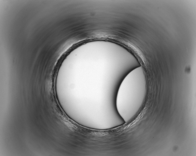 X0000099941023200805231016