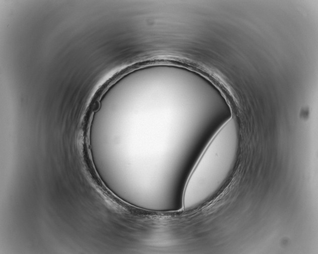 X0000099941024200805231016