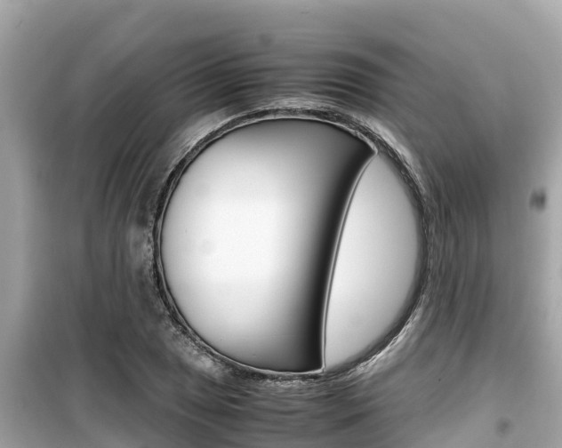 X0000099941025200805231016