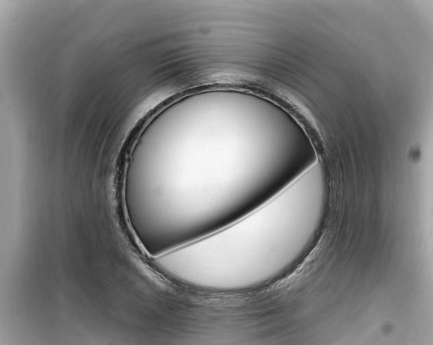 X0000099941026200805231016