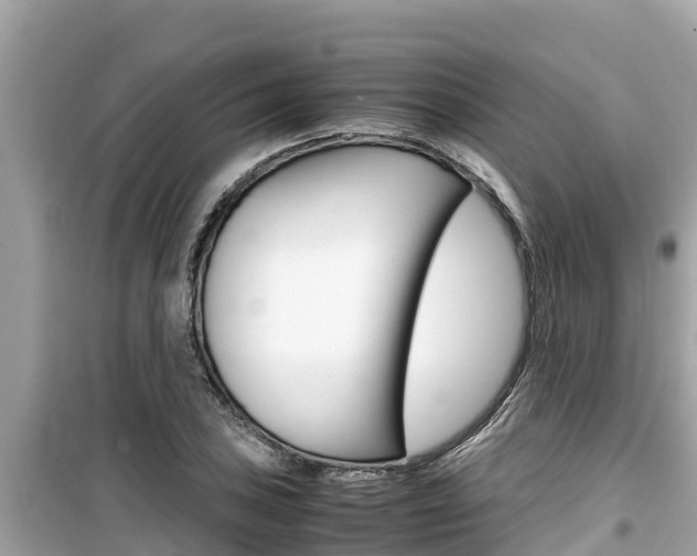 X0000099941027200805231016