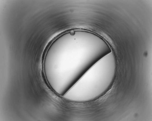 X0000099941028200805231016
