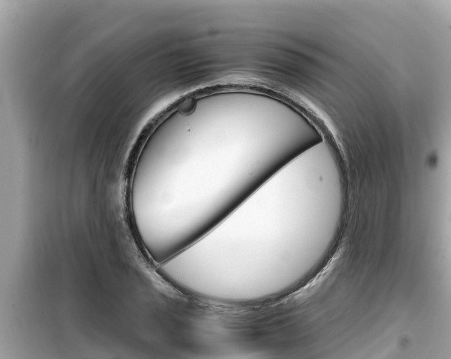 X0000099941029200805231016