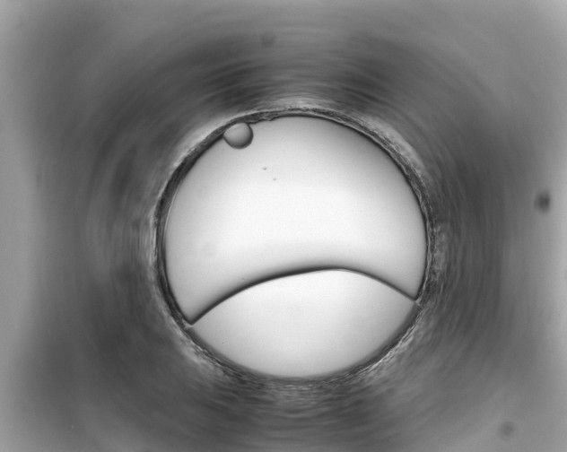 X0000099941031200805231016