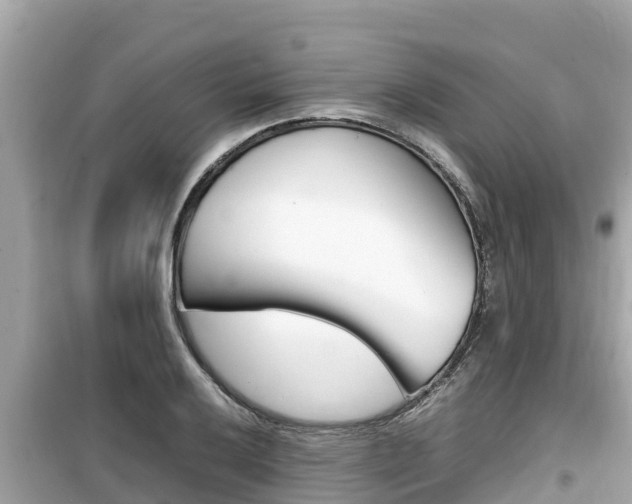 X0000099941032200805231016