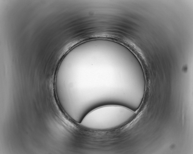 X0000099941033200805231016
