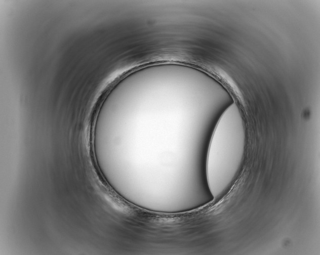 X0000099941035200805231016