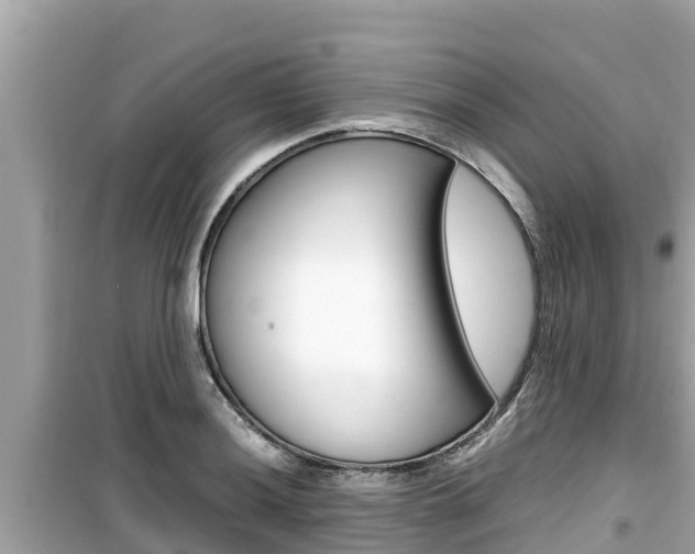 X0000099941036200805231016