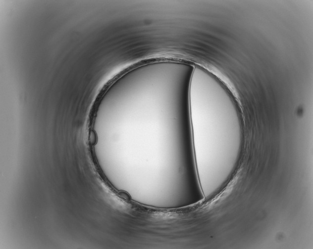 X0000099941037200805231016