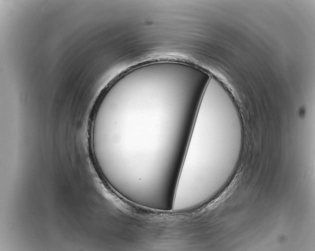 X0000099941038200805231016