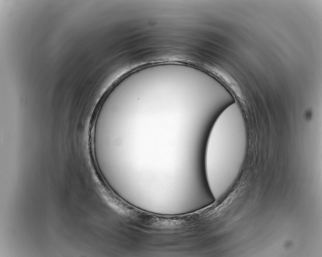 X0000099941039200805231016