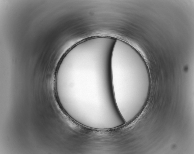 X0000099941040200805231016