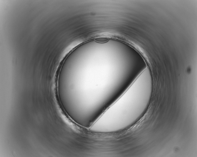 X0000099941042200805231016