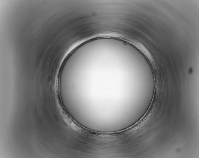 X0000099941044200805231016
